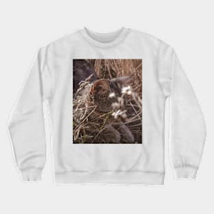 Cat Crewneck Sweatshirt